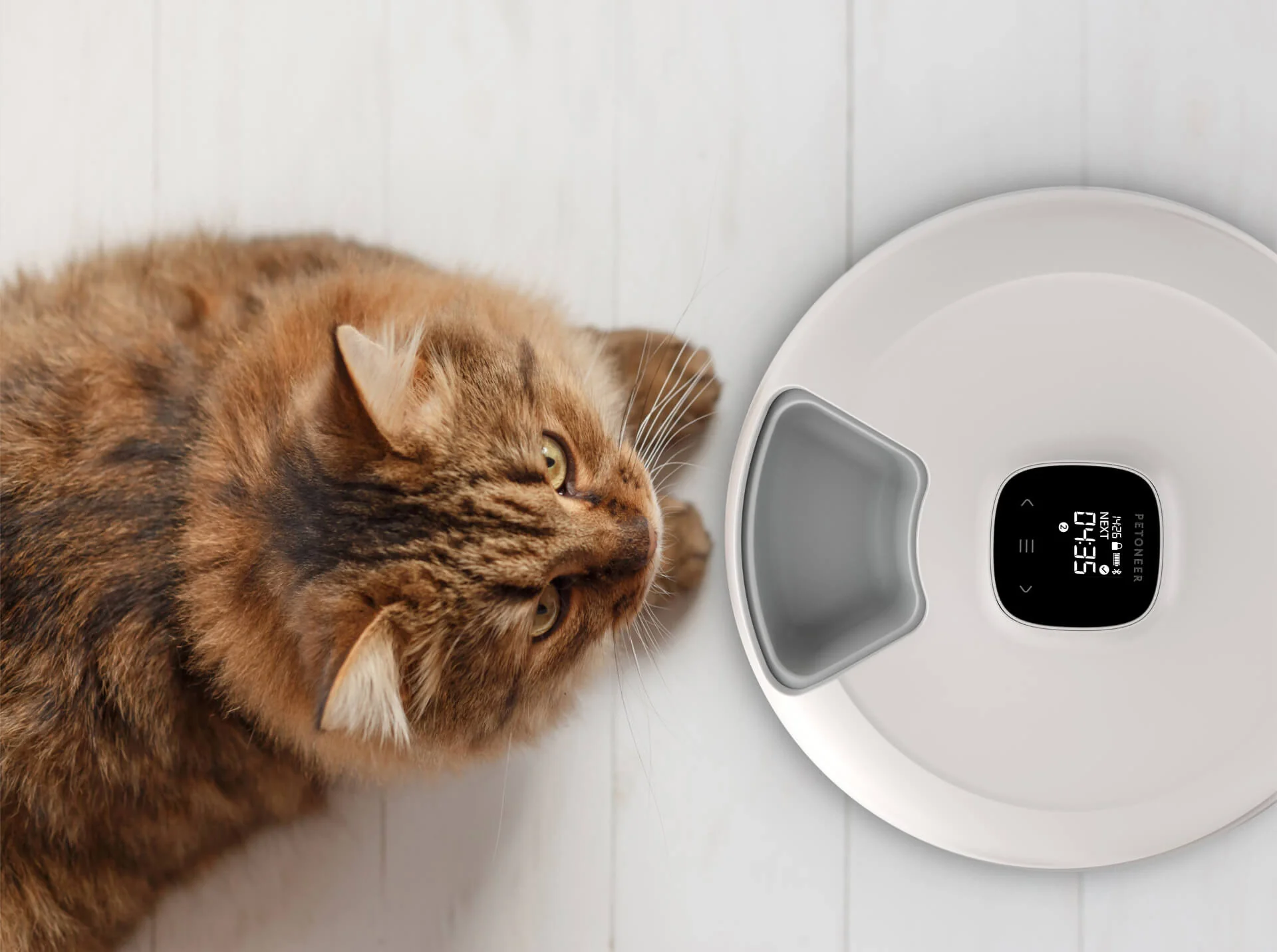 Nutrispin 6 Meal Pet Feeder - Image 13