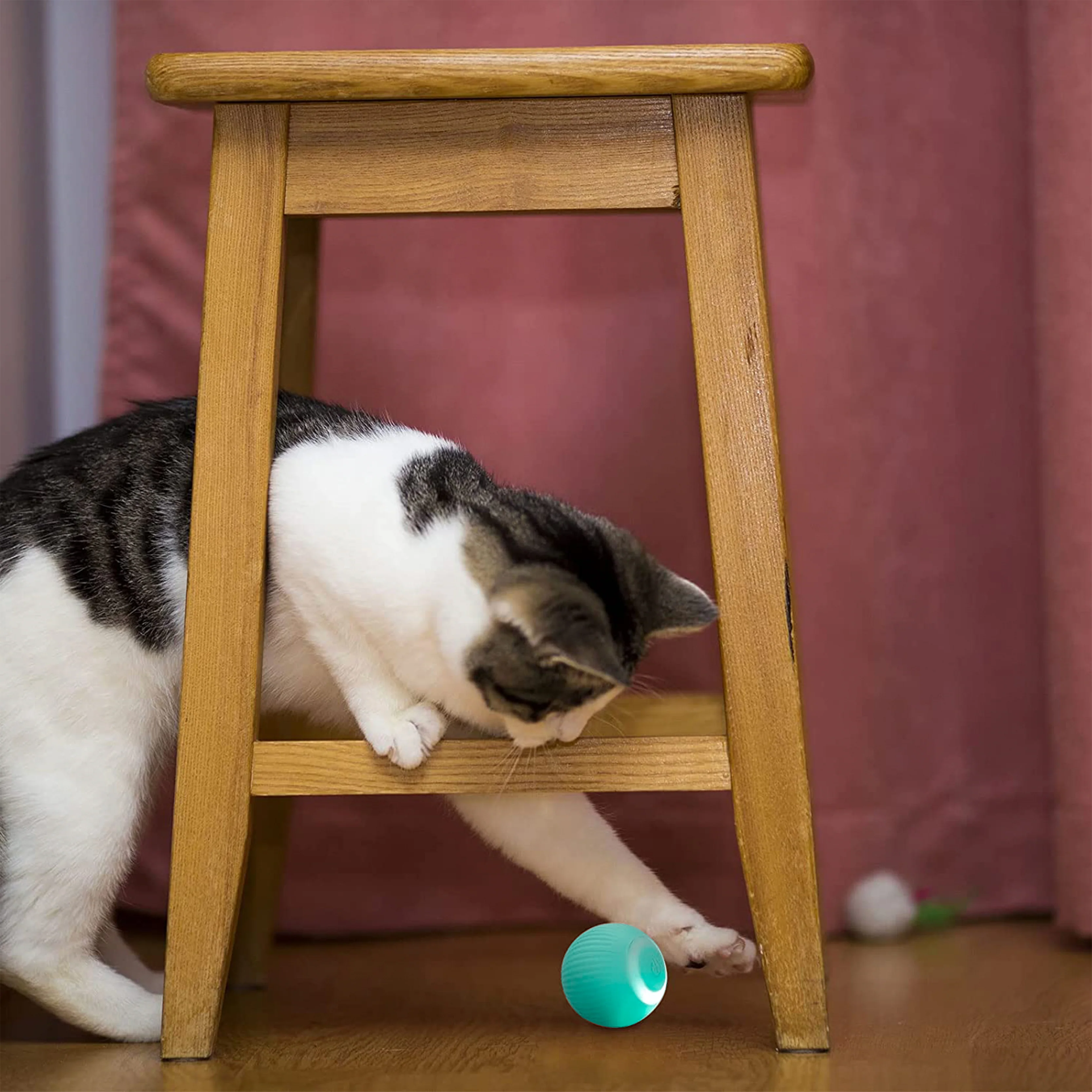 Pet Smart Rotating Ball - Image 2