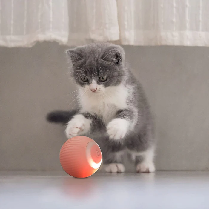 Pet Smart Rotating Ball - Image 4