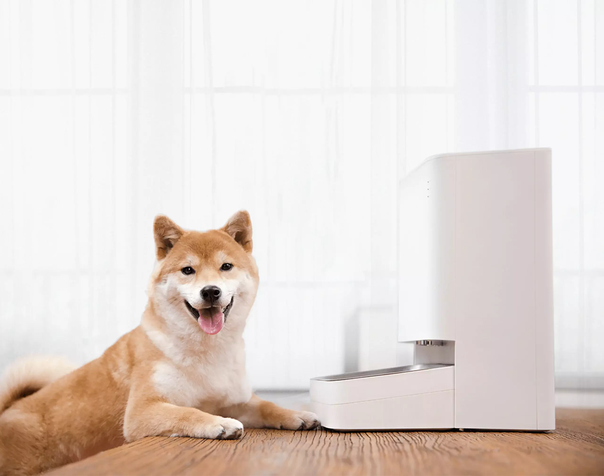 Xiaomi Smart Pet Food Feeder - Image 3